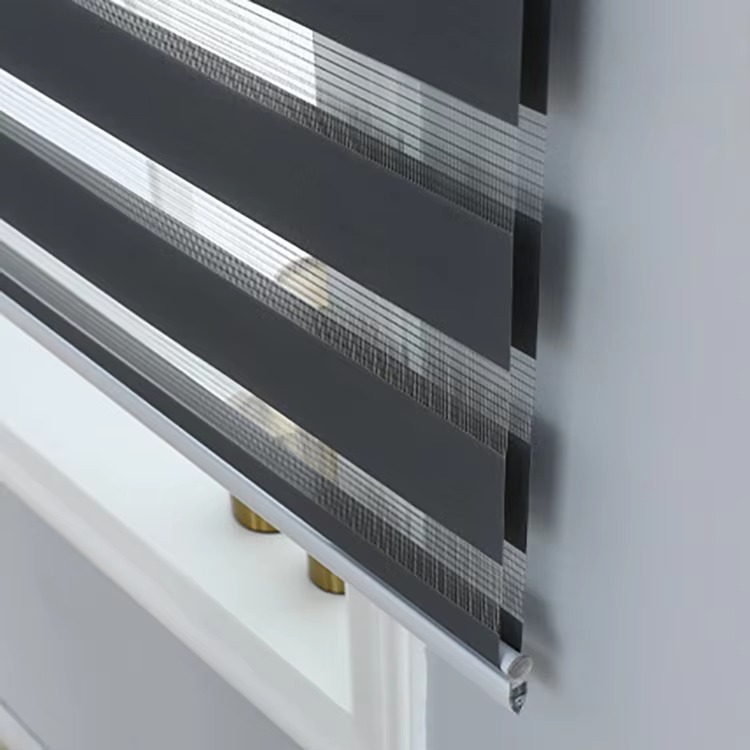 Custom Size Double Layer Zebra Blind Day and Night Zebra