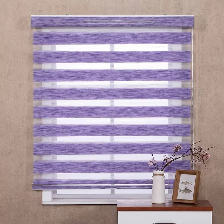Zebra Blind Window Blackout Manual Zebra Roller Blinds for the Living Room